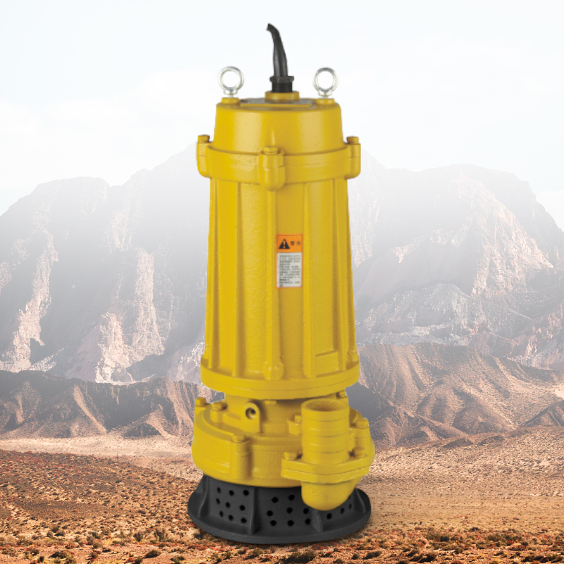 High Head Sewage Submersible W - đánh giá và giá Submersible Pump Sewage